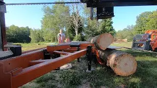 Another Very Nice Pine # 280