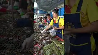 The Busy Traditional Market@muhammadarif-ai