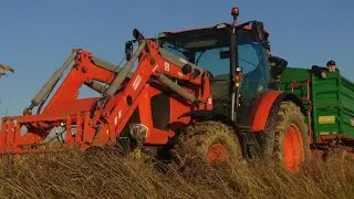 🌽Kukurydza na ziarno 2022🚜Kubota i Claas Dominator 76🎥TheRol Team 2022🎥
