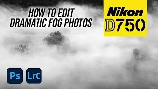 Nikon D750 | How To Edit Dramatic Fog Photos