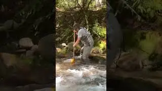 CABIN Kick Net Protocol - 2021