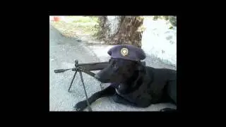 to tragoudi tis skopias (swlines).mp4