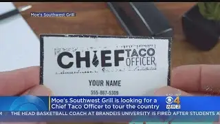 Moe's Looks To Hire Chief Taco Officer