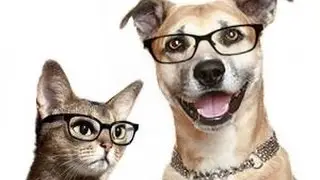 Private label dog probiotics| private label dog supplements