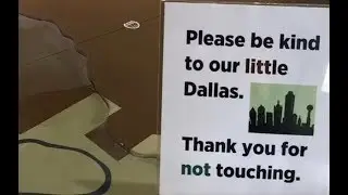 Dallas Poetry Pop Up with Espinas Collective