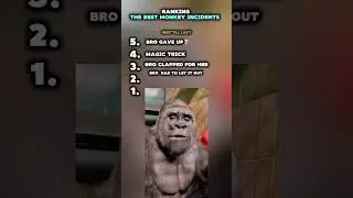 ranking top 5 funny monkey moments