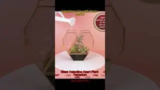 Glass Valentine Heart Plant Terrarium