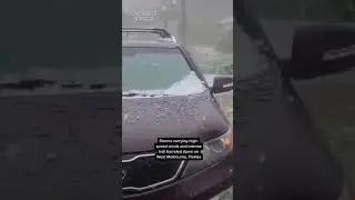 Hail in Florida turns street into 
