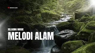 Instrumen Musik Terbaik untuk Menenangkan Pikiran & Jiwa | Melodi Alam