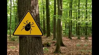 Tick Awareness with Rusty