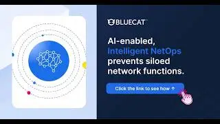 Taming Network Complexity with Intelligent NetOps | BlueCat