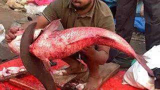I never seen ll amazing big Biket fish cutting live skills by expert fish cutter 