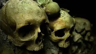 [FREE] Dark trap beat 