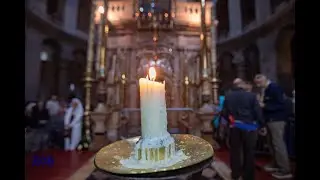 Catholic Pilgrimages with 206 Tours