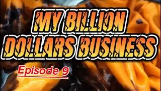 MBDB EP9: Life of a Perfectionist