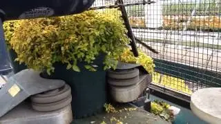 ODV Precision Nursery Trimming Machine