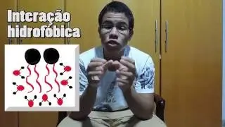Intera&ccedil;&otilde;es Hidrof&oacute;bicas