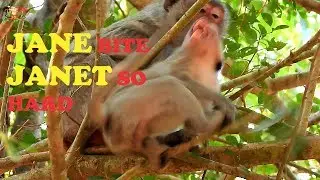 BREAK HEART MOM JANE BITE HER DAUGHTER SO HARD , JANET CRY LOUDLY HIGH ON THE TREE |