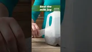 How to Winter Sow Seeds in Milk Jugs 🌱❄️ #wintergardening #seedstarting #wintersowing