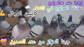 زيارة عند الأخ المولوع 🥰صدمني بالمستوى🇪🇸حمقاتني السجنة👌جبنا الهندي وعائلتو💝🥵تولع بلا متخلع