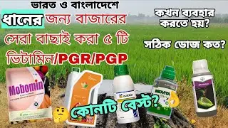 আমন ধানের জন্য বাছাই করা সেরা 5টি ভিটামিন/PGR/🤩 ডোজ ও সময়কাল /পাশকাঠি বাড়বে, ধান চকচকে,পুষ্ট হবে