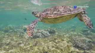 10 places to visit  in zanzibar