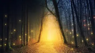 Enchanted Forest Ambience &ndash; Relaxing Nature Sounds & Magical Atmosphere | 4K