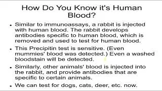Forensics 15, Body Fluids 1 Tests for Human Blood or Animal Blood, Immunoassays, Seminal Stain Locat