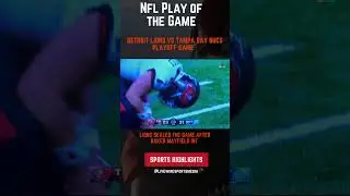 Lions sealed the Game after baker Mayfield Int. #detroitlions #nflplayoffs #nflfootball