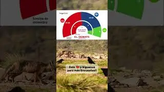 🏰 Encuesta CASTILLA-LA MANCHA El Debate🟥 PSOE  (15/16)🟦 PP  (12/13)🟩 VOX  (5)🟪 Podemos  (0)