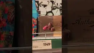 Цены на шоколад и конфеты  -101 Мытищи #shorts Chocolate and candy prices 巧克力和糖果價格 मिठाइयों के दाम