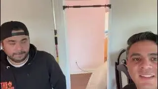 Bed Bug Exterminator in Toronto and GTA