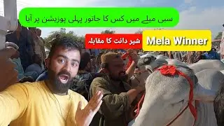 Sibi Mela Winner 2023