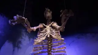 FINAL Museum Practice Video