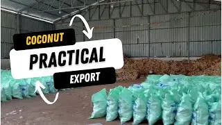 coconut export from mumbai | How to export coconut | export import business | exim talk india |