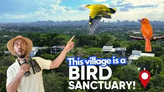 Is this the Most Peaceful Village in Antipolo for Nature Lovers? 🐥🌳Guide to Town and Country Estates