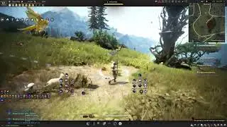 The new shadow lion meta? 100% crit rate build