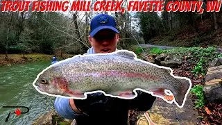 Trout Fishing West Virginia's Mill Creek (Fayette County)