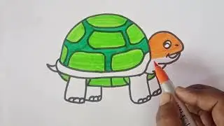 How To Draw A Turtle Drawing | Turtle Draw & Colouring For Kids Hub