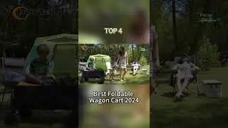 TOP 4 Best Foldable Wagon Cart 2024