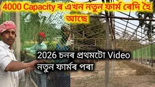 4000 কেপাচিটিৰ এখন ব্ৰইলাৰ ফাৰ্ম তৈয়াৰ হৈ আছে 2026 লৈ II Assam Farming-Chiranjit Gogoi 