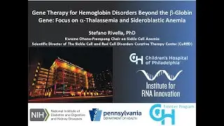 Gene Therapy for Hemoglobin Disorders Beyond the Beta-Globin Gene