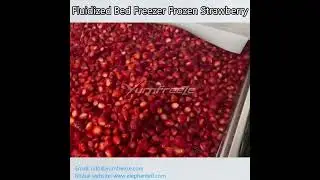 IQF Tunnel Fluidized Bed Freezer Frozen Strawberry