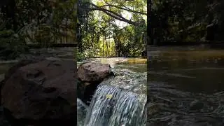 🌵 Suan Luang Rama IX Royal Park ⛩️