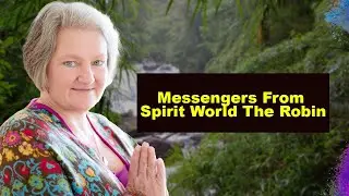 Messengers From Spirit World  The Robin