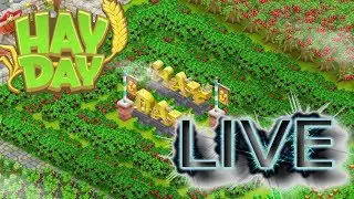 Hay Day Live 😊 Bl&uuml;ten Derby 🌷 🌹 | Farming | Shopping | Schiff Event Vorbereitung