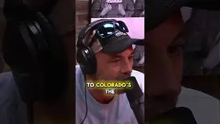 Joe Rogan - Moving to Colorado w/The Boys