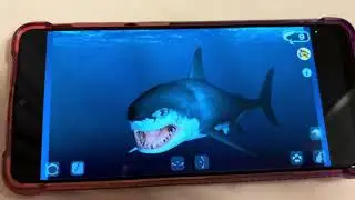 Talking Raptor and Talking Great White (Double Review)