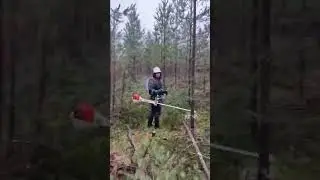 forest stihl work finland #viral #wood #treecutting #shorts #youtubeshorts #facebook #video #2026