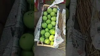 #shorts Today 11 Aug 2025 || Real Mandi Scene #fruitmandilive #market #kashmir #sopore
